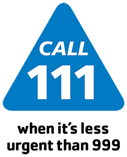 NHS 111 Logo